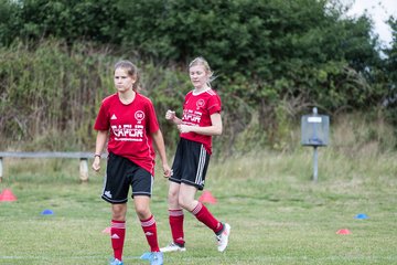 Bild 39 - Frauen SG NieBar - HSV 2 : Ergebnis: 4:3